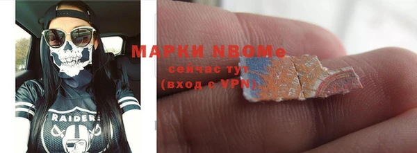 гидра Алексин