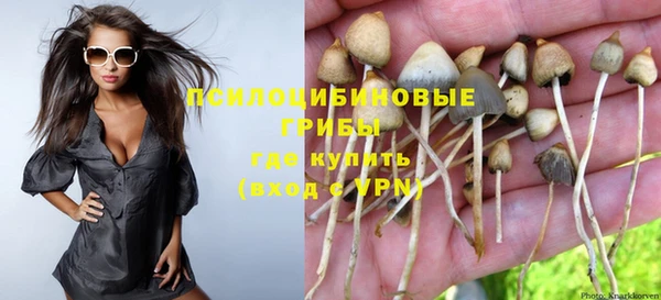 PSILOCYBIN Алзамай