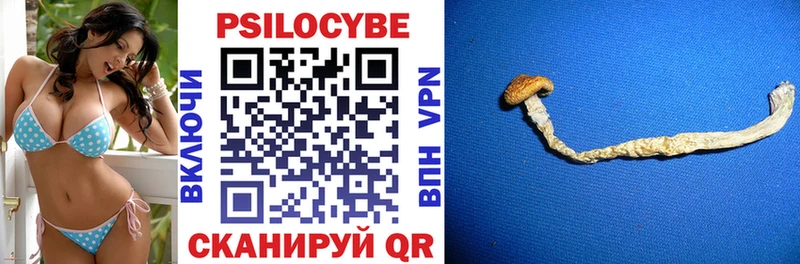 blacksprut ONION  Тюмень  Псилоцибиновые грибы Cubensis 